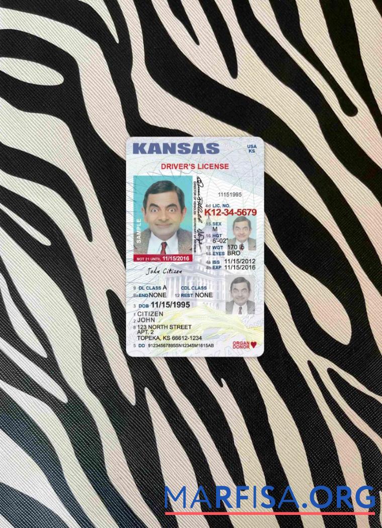 Printable USA Kansas driving license under 21 photolook sample
